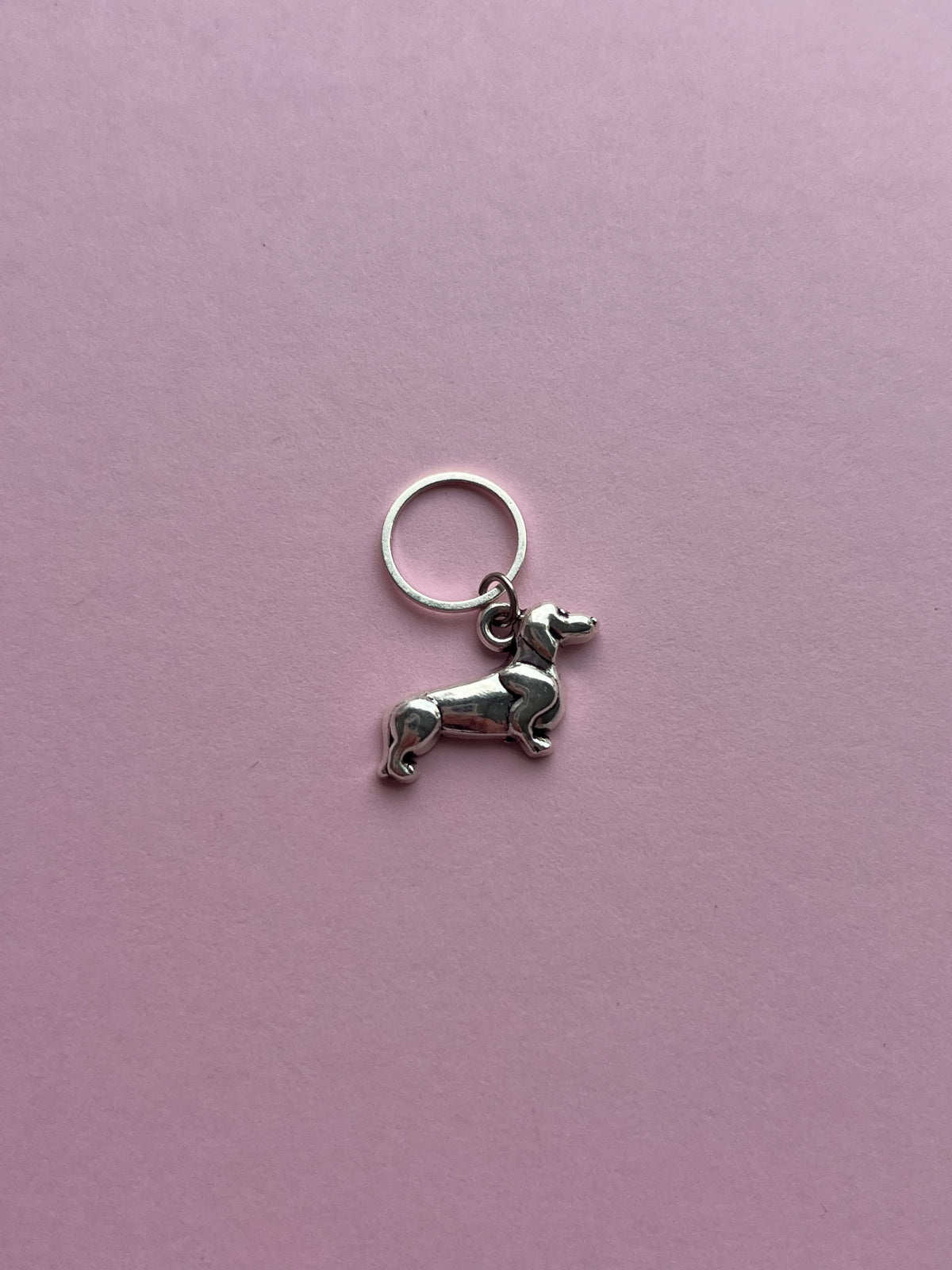 Silver Sausage Dog