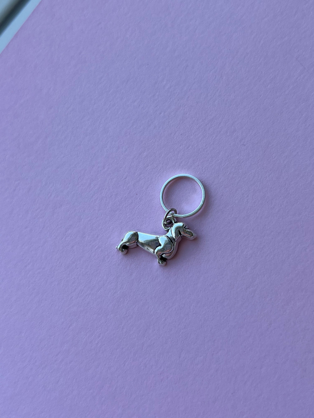 Silver Sausage Dog