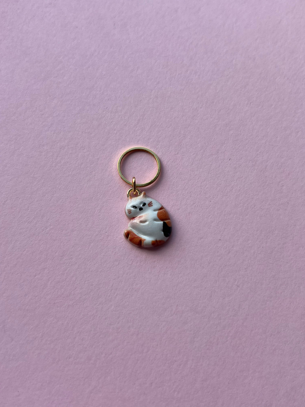 Scrunchie Cats